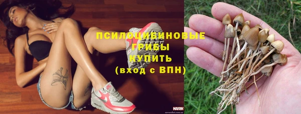 ALPHA-PVP Краснослободск